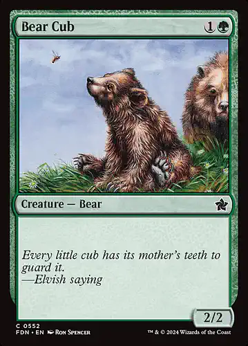 Bear Cub - fdn Spoiler