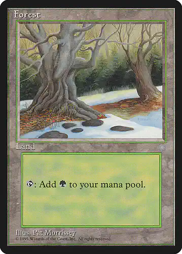 Forest - ice Spoiler