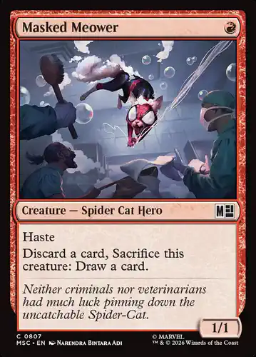 Masked Meower - msc Spoiler