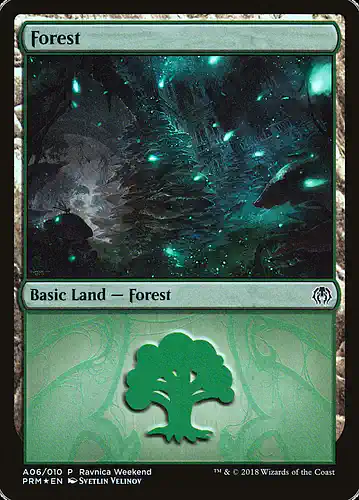 Forest - grn Spoiler