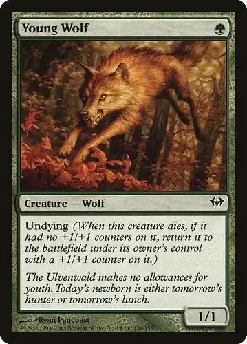 Young Wolf - dka Spoiler