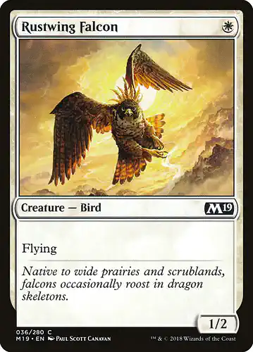 Rustwing Falcon - m19 Spoiler