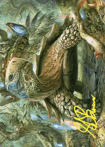 Blossoming Tortoise - woe Spoiler