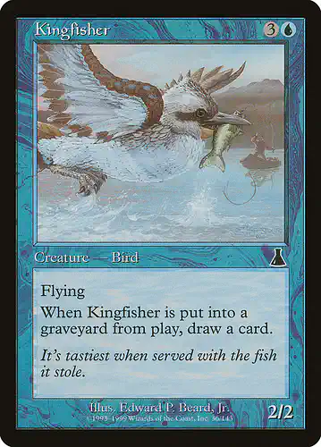 Kingfisher - uds Spoiler