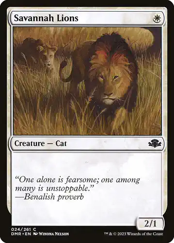 Savannah Lions - dmr Spoiler