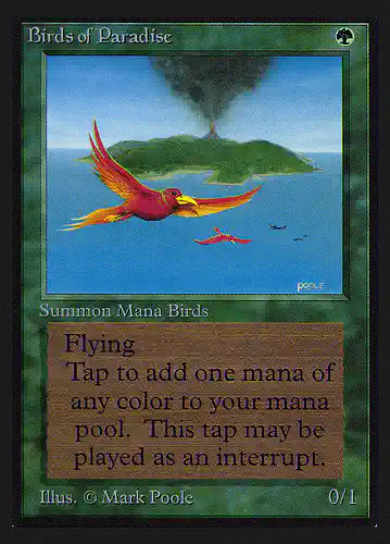 Birds of Paradise - cei Spoiler