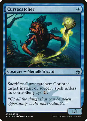 Cursecatcher - a25 Spoiler