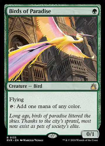 Birds of Paradise - rvr Spoiler