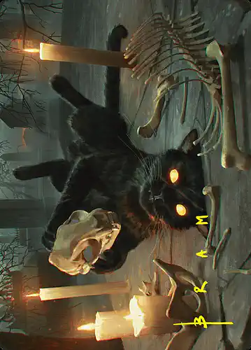 Nine-Lives Familiar - fdn Spoiler