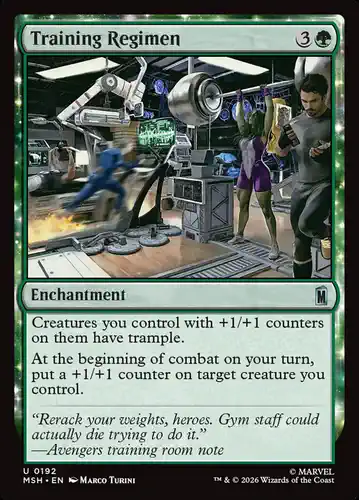 Training Regimen - msh Spoiler