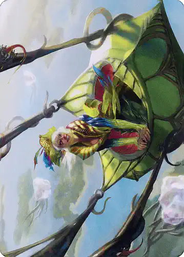 Nael, Avizoa Aeronaut - dmu Spoiler