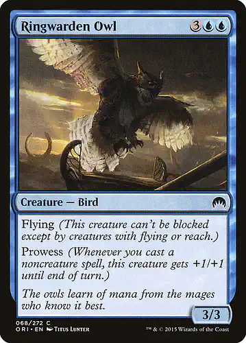 Ringwarden Owl - ori Spoiler