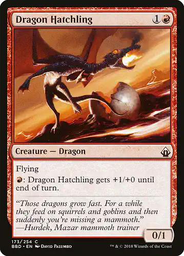 Dragon Hatchling - bbd Spoiler