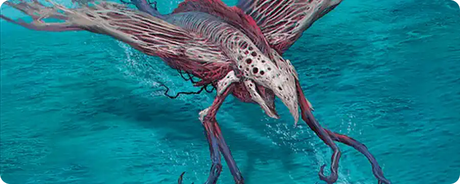 Jeskai Dress Down