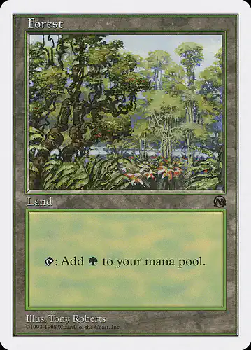 Forest - ath Spoiler
