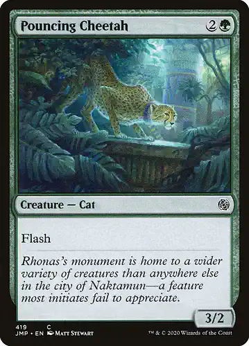 Pouncing Cheetah - jmp Spoiler