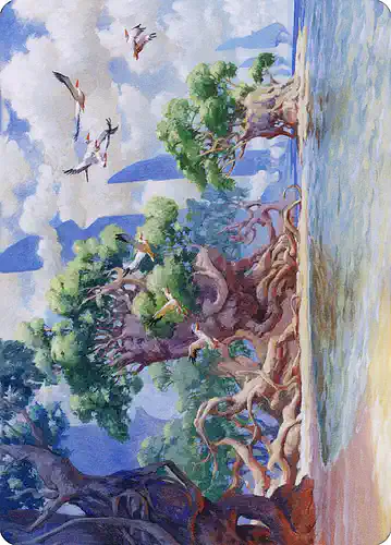 Yavimaya Coast - dmu Spoiler