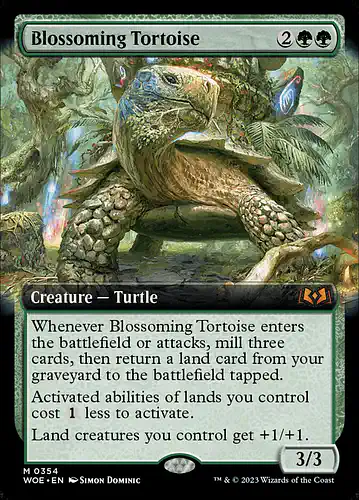 Blossoming Tortoise - woe Spoiler