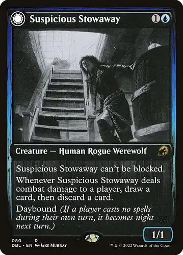 Suspicious Stowaway - dbl Spoiler
