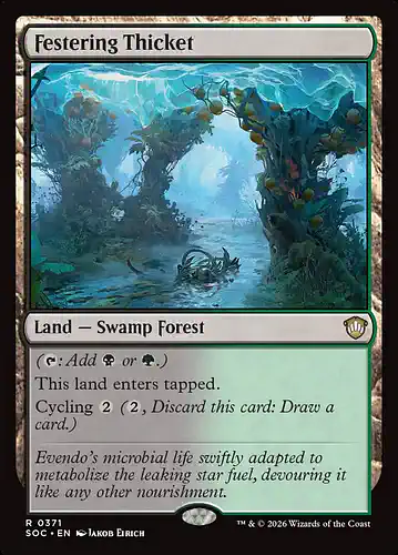 Festering Thicket - soc Spoiler