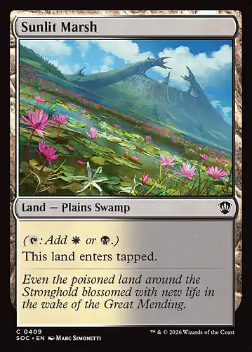 Sunlit Marsh - soc Spoiler