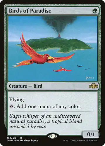 Birds of Paradise - dmr Spoiler
