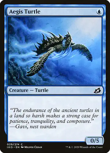Aegis Turtle - iko Spoiler