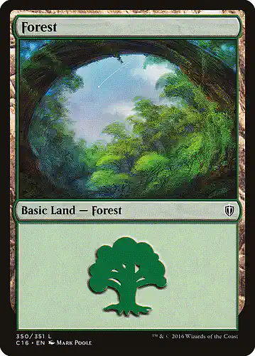 Forest - c16 Spoiler