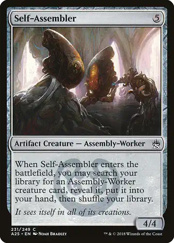Self-Assembler - a25 Spoiler