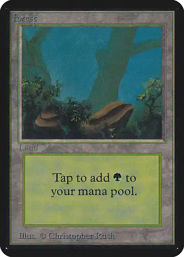 Forest - lea Spoiler