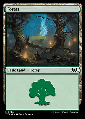 Forest - woe Spoiler