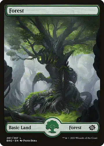 Forest - bro Spoiler