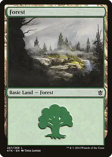 Forest - ktk Spoiler
