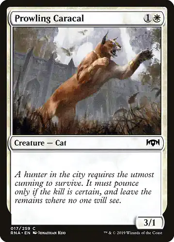 Prowling Caracal - rna Spoiler
