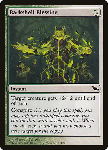 Barkshell Blessing - shm Spoiler