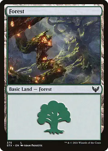 Forest - stx Spoiler