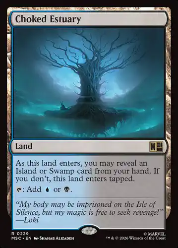 Choked Estuary - msc Spoiler