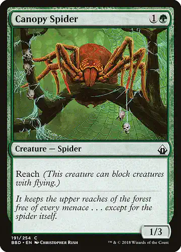 Canopy Spider - bbd Spoiler