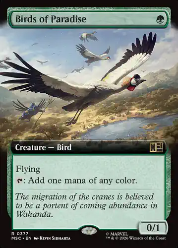 Birds of Paradise - msc Spoiler