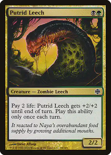 Putrid Leech - arb Spoiler