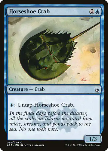 Horseshoe Crab - a25 Spoiler