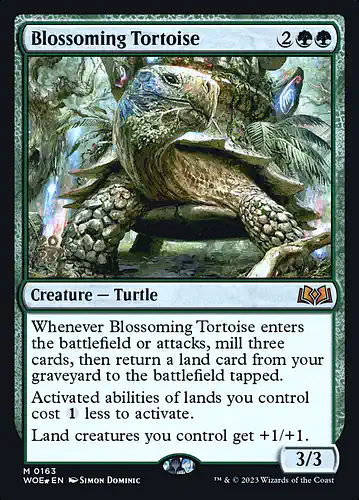 Blossoming Tortoise - woe Spoiler
