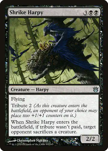 Shrike Harpy - bng Spoiler