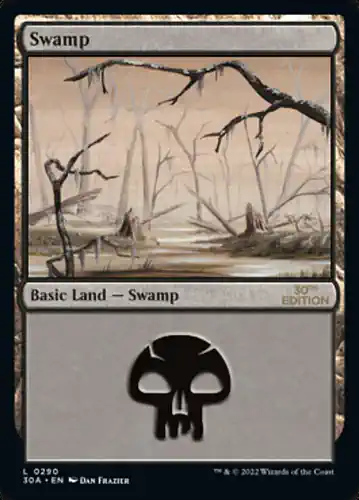 Swamp - 30a Spoiler