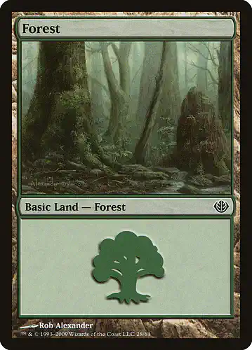 Forest - ddd Spoiler