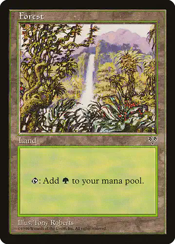 Forest - mir Spoiler