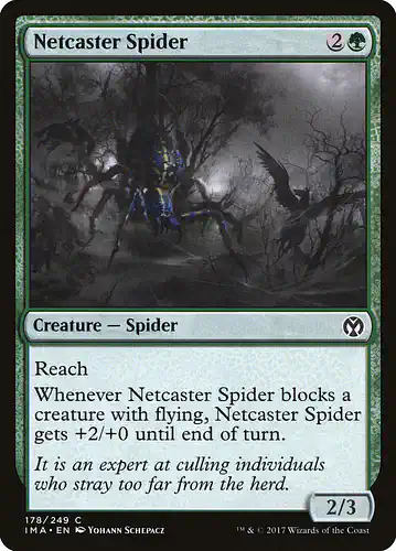 Netcaster Spider - ima Spoiler