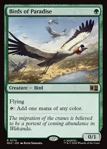 Birds of Paradise - msc Spoiler