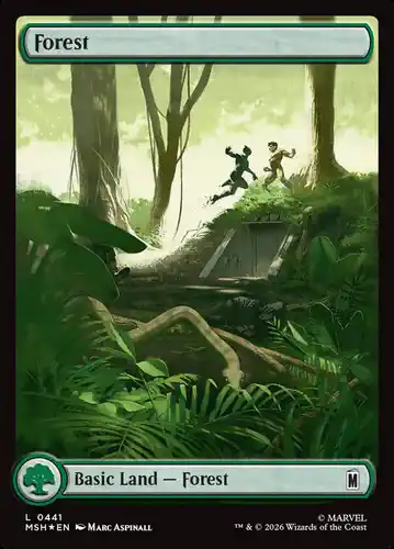 Forest - msh Spoiler