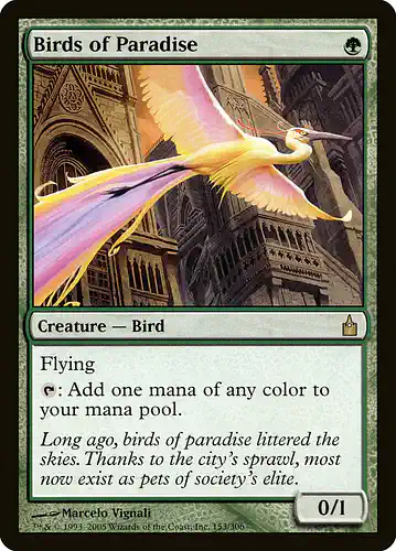 Birds of Paradise - rav Spoiler